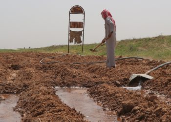 تأخّر الأمطار يُنذِر بكارثة على الموسم الزراعي “الشتوي” هذا العام