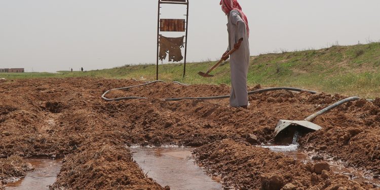 تأخّر الأمطار يُنذِر بكارثة على الموسم الزراعي “الشتوي” هذا العام