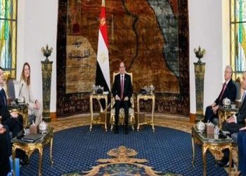 الموقف المصري من سوريا الجديدة