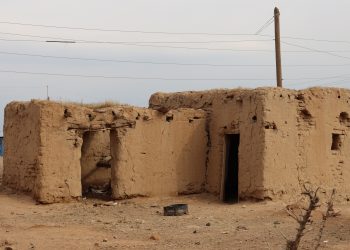 عدسة العدد2008 من صحيفة روناهي