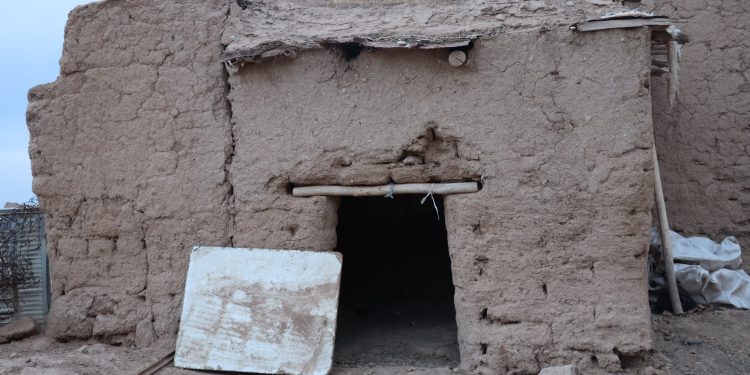 عدسة العدد2012 من صحيفة روناهي