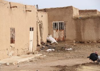 عدسة العدد2007 من صحيفة روناهي