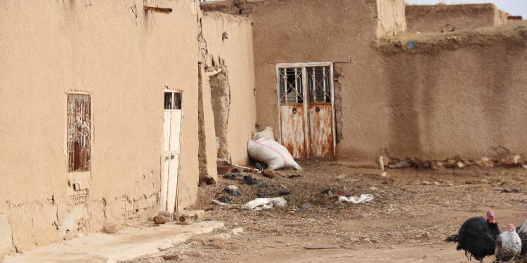 عدسة العدد2007 من صحيفة روناهي