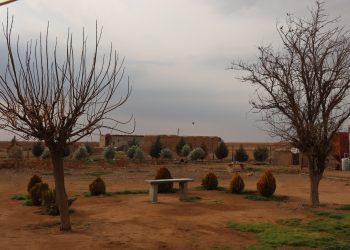 عدسة العدد2014 من صحيفة روناهي
