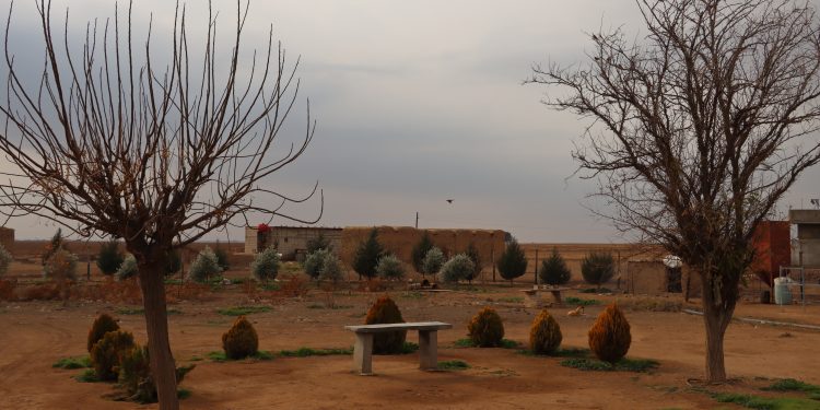 عدسة العدد2014 من صحيفة روناهي