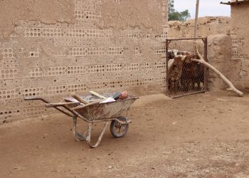 عدسة العدد2006 من صحيفة روناهي