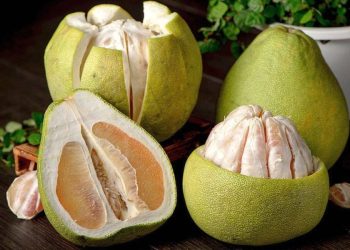 فوائد البوملي الصحيّة والجماليّة