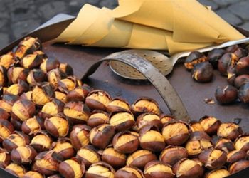 فوائد الكستناء الصحيّة للجسم