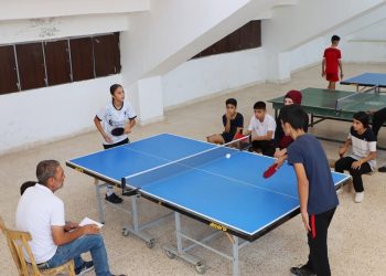 لعبة تنس الطاولة.. خطوات بسيطة لفهم قوانينها وأساسياتها