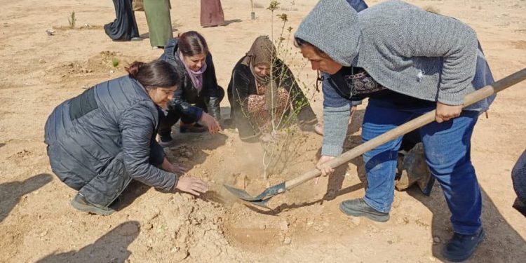 في إطار فعاليات الثامن من آذار… نساء مقاطعة دير الزور تباشر بسلسلة من النشاطات المنوعة