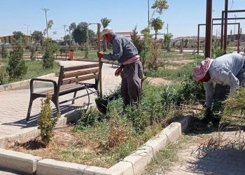 بلدية الشعب في مدينة الحسكة تواصل الأعمال المتعلقة بالنظافة والتشجير