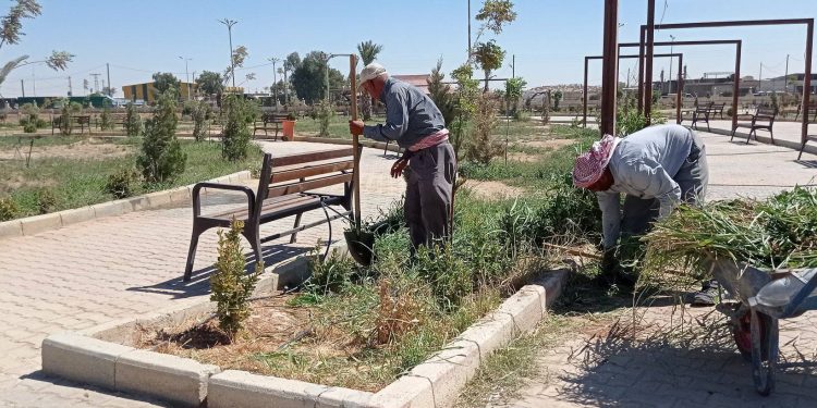 بلدية الشعب في مدينة الحسكة تواصل الأعمال المتعلقة بالنظافة والتشجير