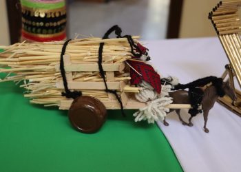 عدسة العدد2030 من صحيفة روناهي