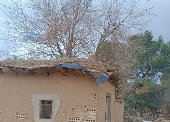 عدسة العدد2038 من صحيفة روناهي