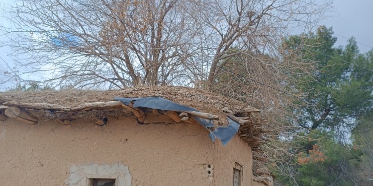 عدسة العدد2038 من صحيفة روناهي
