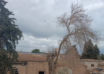 عدسة العدد2034 من صحيفة روناهي
