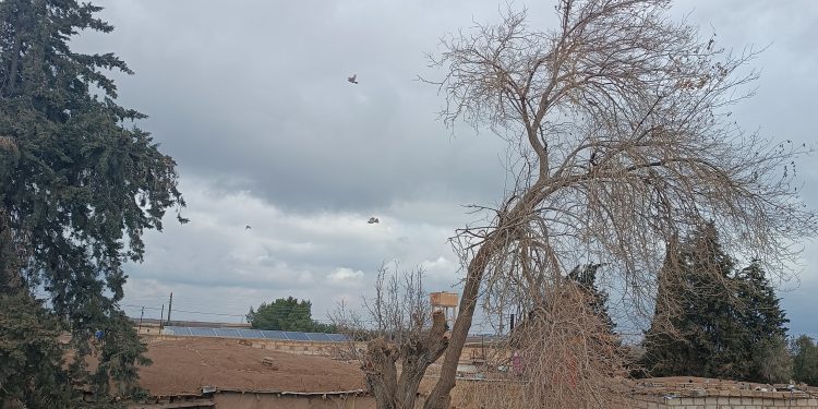 عدسة العدد2034 من صحيفة روناهي