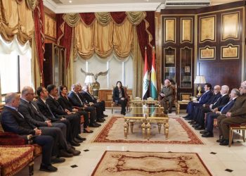 محمد كامانج: مبادرة السلام.. فرصة تاريخية لحل قضايا المنطقة