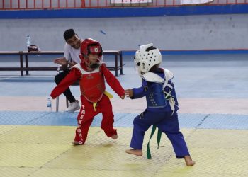 دليلك لاحتراف لعبة التايكوندو