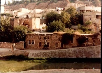 ملامح من دور الكرد الحضاري في حماة