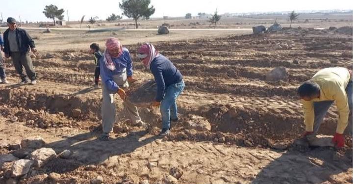 جهود لدعم الزراعة والثروة الحيوانية في مقاطعة الجزيرة