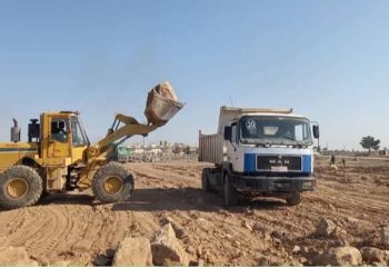زراعة 40 ألف شجرة زيتون في الجزيرة لدعم الإنتاج الزراعي وتحقيق الاكتفاء الذاتي
