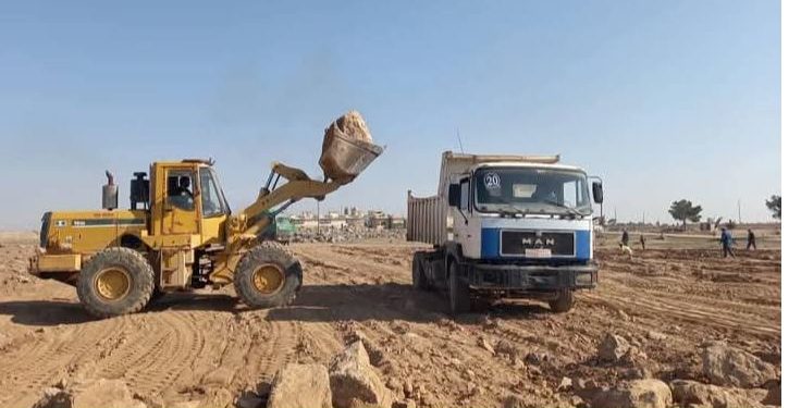 زراعة 40 ألف شجرة زيتون في الجزيرة لدعم الإنتاج الزراعي وتحقيق الاكتفاء الذاتي