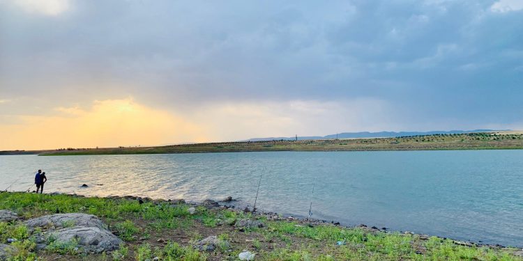 عدسة العدد2050 صحيفة روناهي