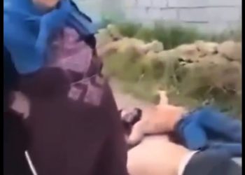 سنديانة الساحل السوري.. أيقونة بين النكبة وانتظار تحقيق العدالة