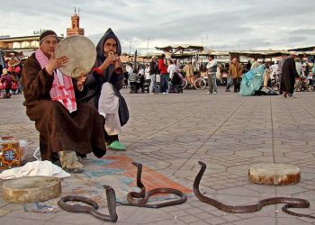 مراكش الحمراء… مدينة تنبض بألوان والحياة