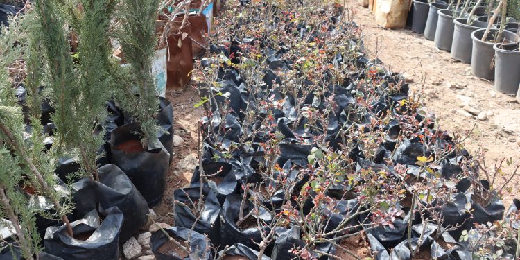 مشاتل عدنان مصطفى.. مشروع مستدام في خدمة البيئة والمجتمع