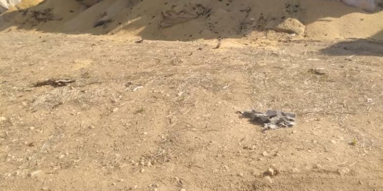 نتيجة لهجمات المحتل التركي.. تلف 500 طن من القمح في صوامع صرين