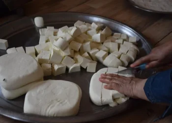 إنتاج الجبن مهنة نساء الرقة يزين الموائد ومردود اقتصادي