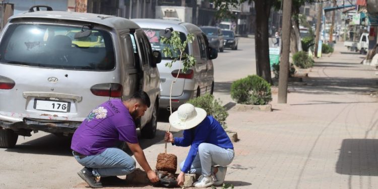 حملة تشجير لطريقي الحسكة وعامودا في قامشلو