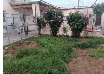 عدسة العدد2090 من صحيفة روناهي