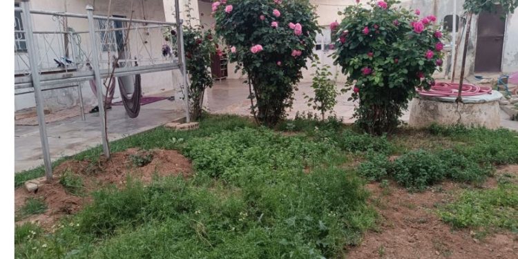 عدسة العدد2090 من صحيفة روناهي
