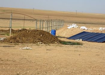 لتوفير الاكتفاء الذاتي… مواطنو عين عيسى يتجهون لزراعة الخضروات الصيفية