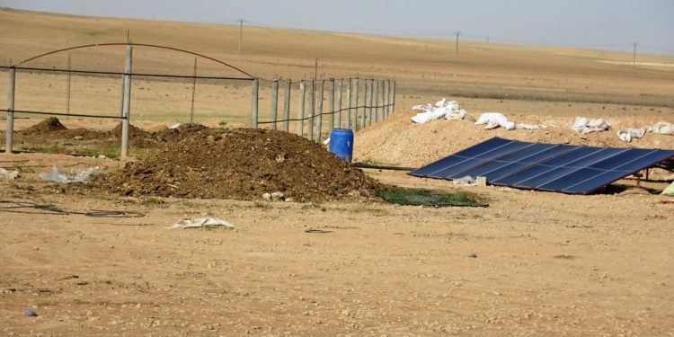 لتوفير الاكتفاء الذاتي… مواطنو عين عيسى يتجهون لزراعة الخضروات الصيفية