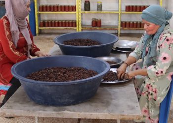 لجنة اقتصاد المرأة… عمل مستمر لتحقيق الأمن الغذائي وتمكين المرأة في كافة المجالات