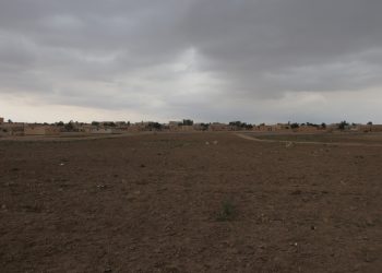 تراجع زراعة الكمون والنباتات العطرية في الشدادي.. أزمة جفاف وشح مياه تهدد مستقبل المزارعين