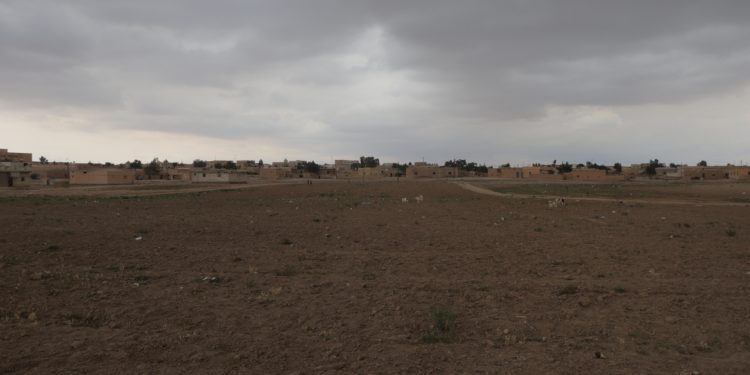 تراجع زراعة الكمون والنباتات العطرية في الشدادي.. أزمة جفاف وشح مياه تهدد مستقبل المزارعين