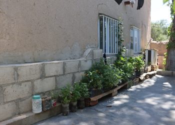 عدسة العدد2084 من صحيفة روناهي