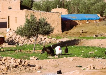 عدسة العدد2075 من صحيفة روناهي