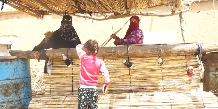 حرفة من قصب.. رحلة “قطنة العواد” بين التراث وكسب العيش