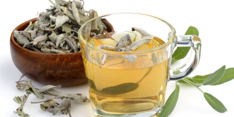 عشبة الميرمية.. خصائص علاجية وفوائد صحيّة لا تُعد ولا تُحصى