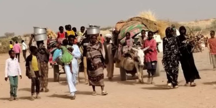 معاناة النازحين في دارفور وصلت ذروتها