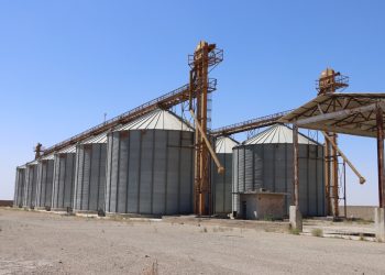 إجراءات شركة التطوير الزراعي وسط توقعات لانخفاض إنتاج القمح في دير الزور هذا العام