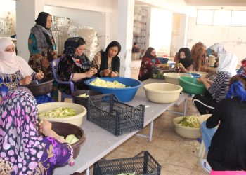 لجنة اقتصاد المرأة… جهود متواصلة وإنجازات ملموسة لتمكين المرأة اقتصادياً