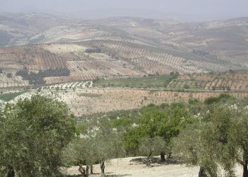 لعجزها عن استعادة منزلها.. وفاة مواطنة كردية قهراً في عفرين المحتلة