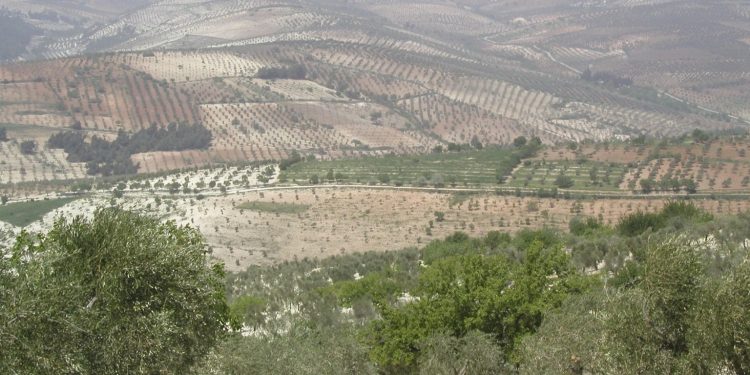 لعجزها عن استعادة منزلها.. وفاة مواطنة كردية قهراً في عفرين المحتلة